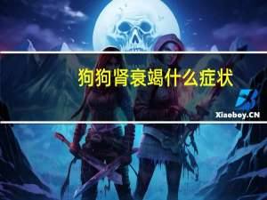狗狗肾衰竭什么症状