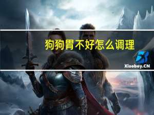 狗狗胃不好怎么调理