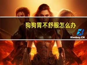 狗狗胃不舒服怎么办