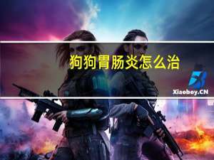 狗狗胃肠炎怎么治