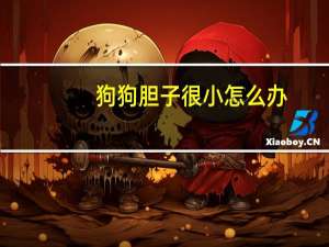 狗狗胆子很小怎么办