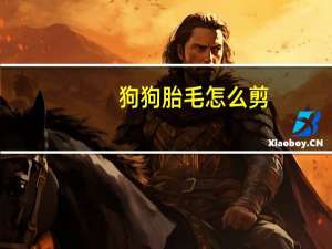 狗狗胎毛怎么剪