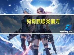 狗狗胰腺炎偏方