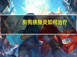 狗狗胰腺炎如何治疗