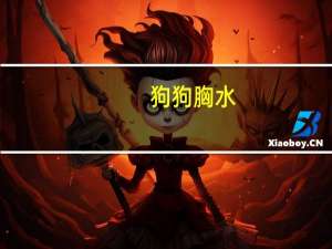 狗狗胸水