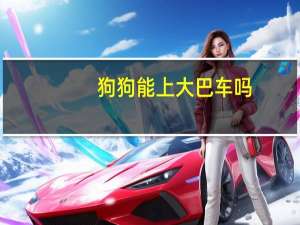 狗狗能上大巴车吗