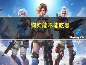 狗狗能不能吃姜