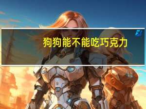 狗狗能不能吃巧克力