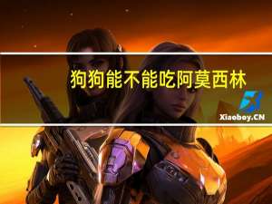 狗狗能不能吃阿莫西林