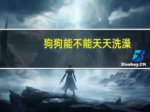 狗狗能不能天天洗澡