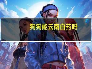 狗狗能云南白药吗