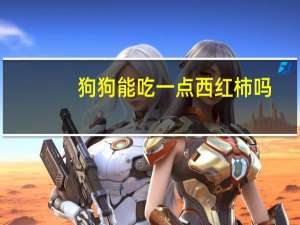 狗狗能吃一点西红柿吗