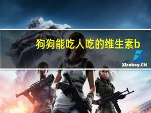 狗狗能吃人吃的维生素b