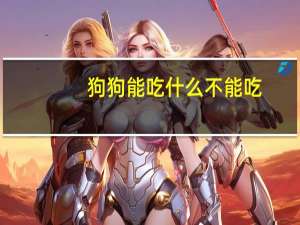 狗狗能吃什么不能吃