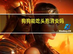 狗狗能吃头孢消炎吗