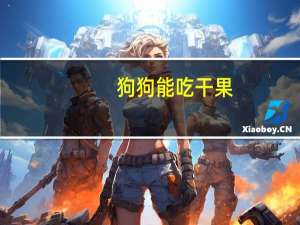 狗狗能吃干果