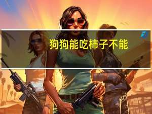 狗狗能吃柿子不能