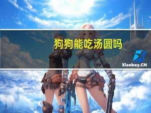 狗狗能吃汤圆吗