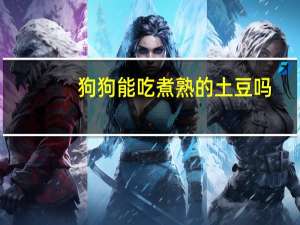 狗狗能吃煮熟的土豆吗