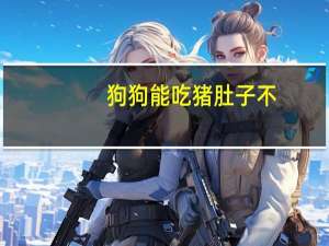 狗狗能吃猪肚子不