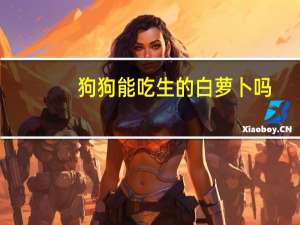 狗狗能吃生的白萝卜吗