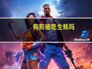 狗狗能吃生蚝吗