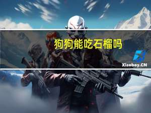 狗狗能吃石榴吗