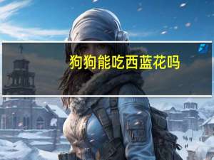 狗狗能吃西蓝花吗