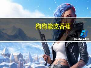 狗狗能吃香蕉