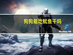 狗狗能吃鱿鱼干吗