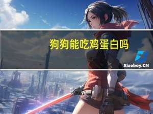 狗狗能吃鸡蛋白吗