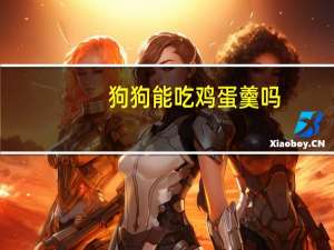 狗狗能吃鸡蛋羹吗