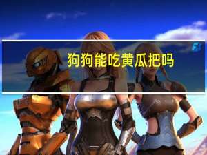 狗狗能吃黄瓜把吗