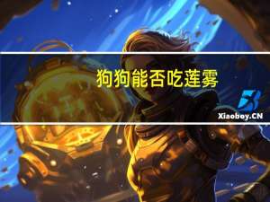 狗狗能否吃莲雾