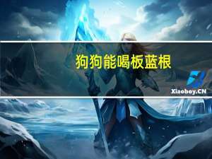 狗狗能喝板蓝根
