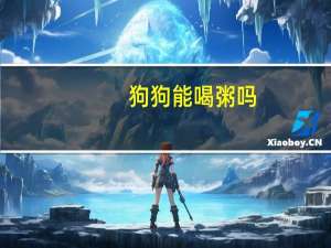 狗狗能喝粥吗