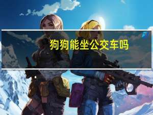 狗狗能坐公交车吗