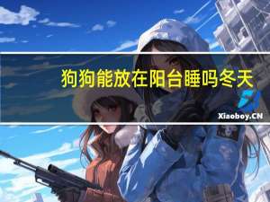 狗狗能放在阳台睡吗冬天