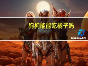 狗狗能能吃橘子吗