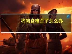 狗狗脊椎歪了怎么办