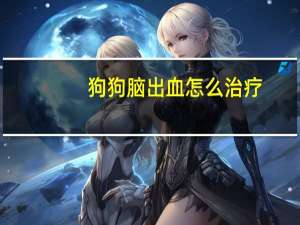 狗狗脑出血怎么治疗