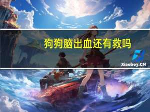 狗狗脑出血还有救吗