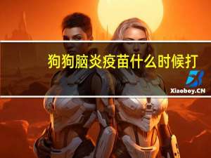 狗狗脑炎疫苗什么时候打