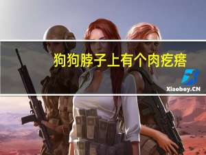 狗狗脖子上有个肉疙瘩