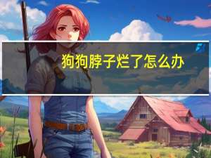 狗狗脖子烂了怎么办
