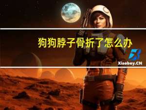 狗狗脖子骨折了怎么办