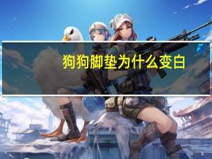 狗狗脚垫为什么变白