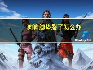 狗狗脚垫裂了怎么办