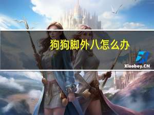狗狗脚外八怎么办