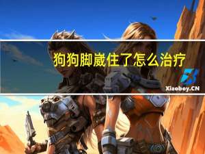 狗狗脚崴住了怎么治疗